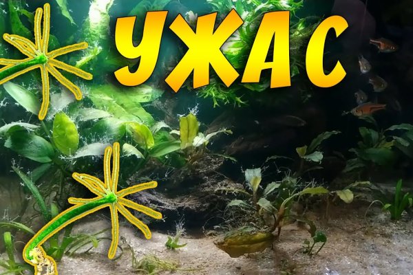 Омг сайт omgdark com
