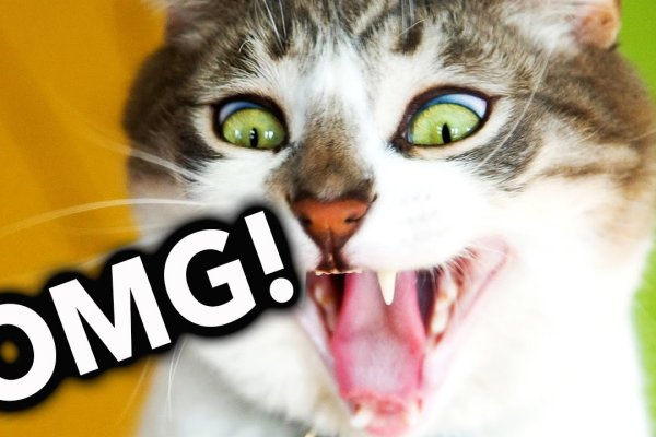 Omgomg официальная ссылка