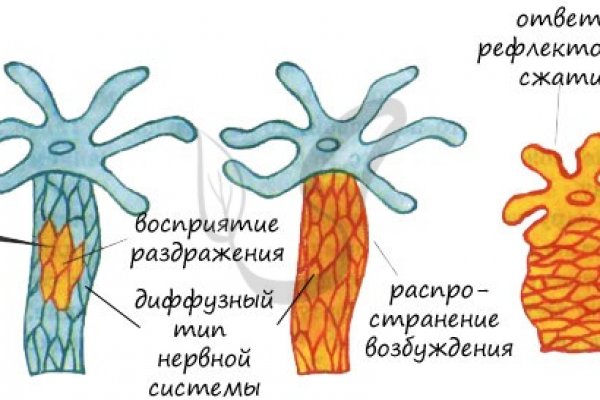 Omg даркнет